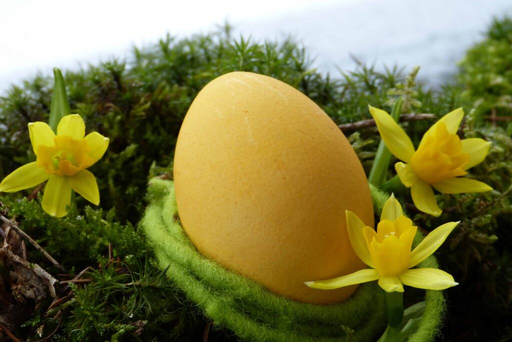 Frohe Ostern Eier Curcuma färben