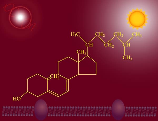 Vitamin D3 Herstellung Synthese D2 vegan vegetarisch pflanzlich tierisch Lanolin Wolle Flechten