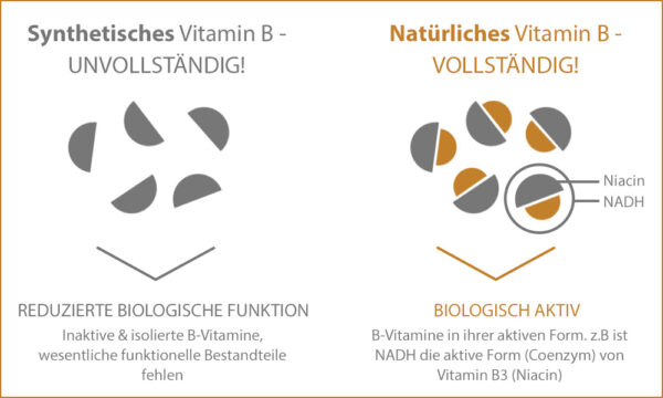 Vitamin B Komplex: Viel Power & starke Nerven