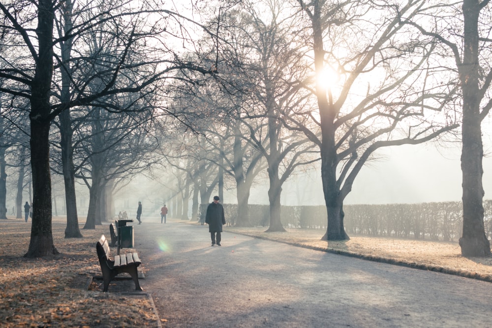 Winterdepression - Tipps. Spaziergang, Sonne, Vitamin D