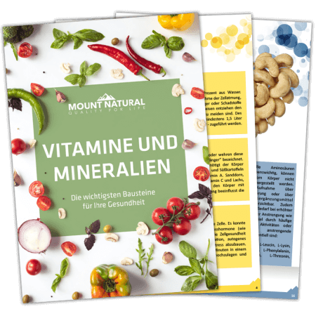 E-Book Vitamine und Mineralien