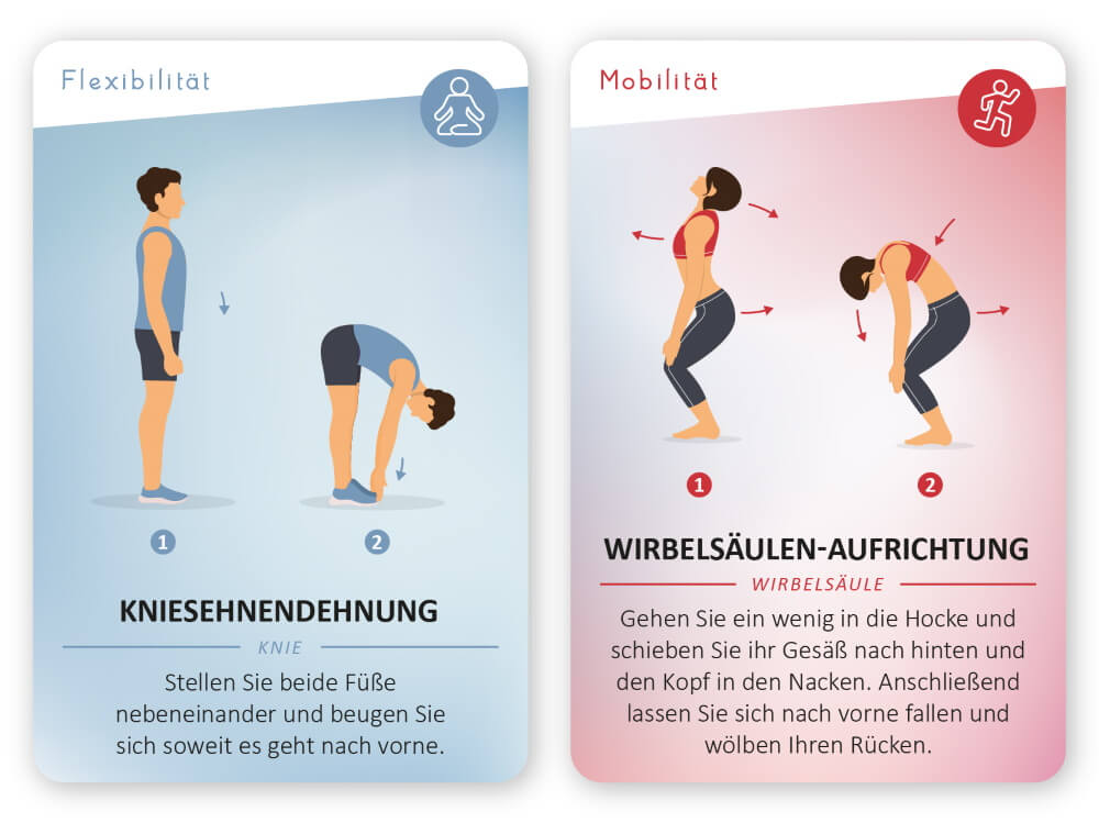 Fitness - Flexibilität & Mobilität